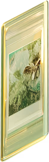 Visual Digital Trust