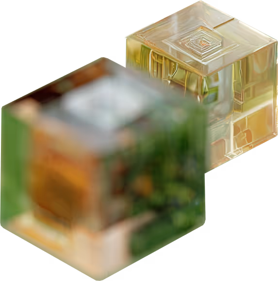 Visual Digital Trust