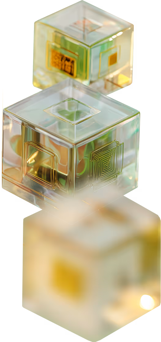 Visual Digital Trust