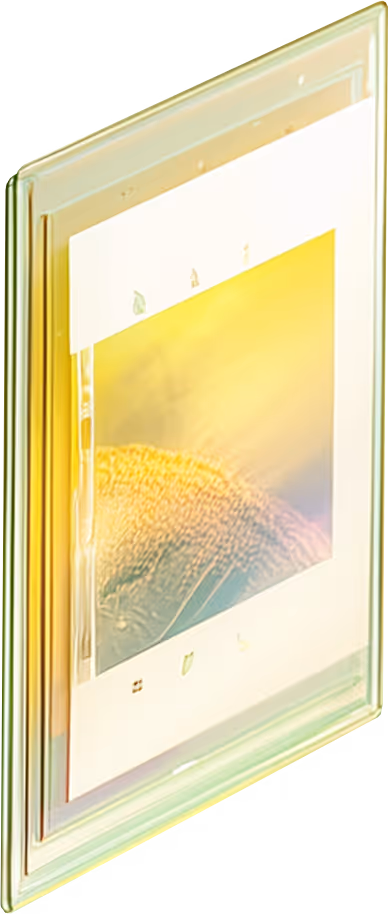 Visual Digital Trust